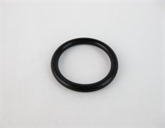 106555 O-RING